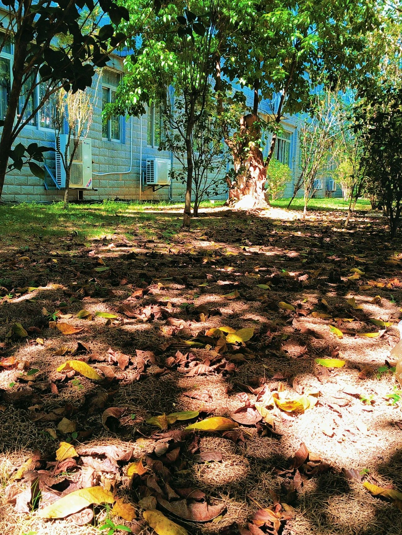 77779193永利集团