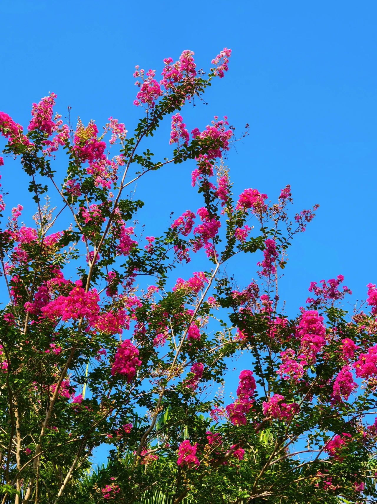 77779193永利集团