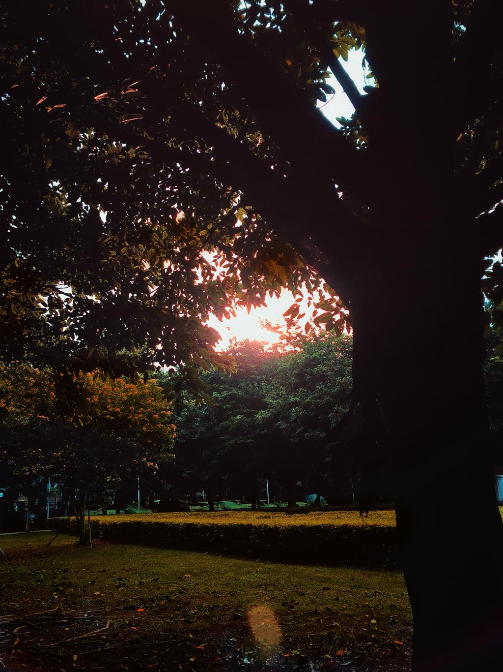 77779193永利集团