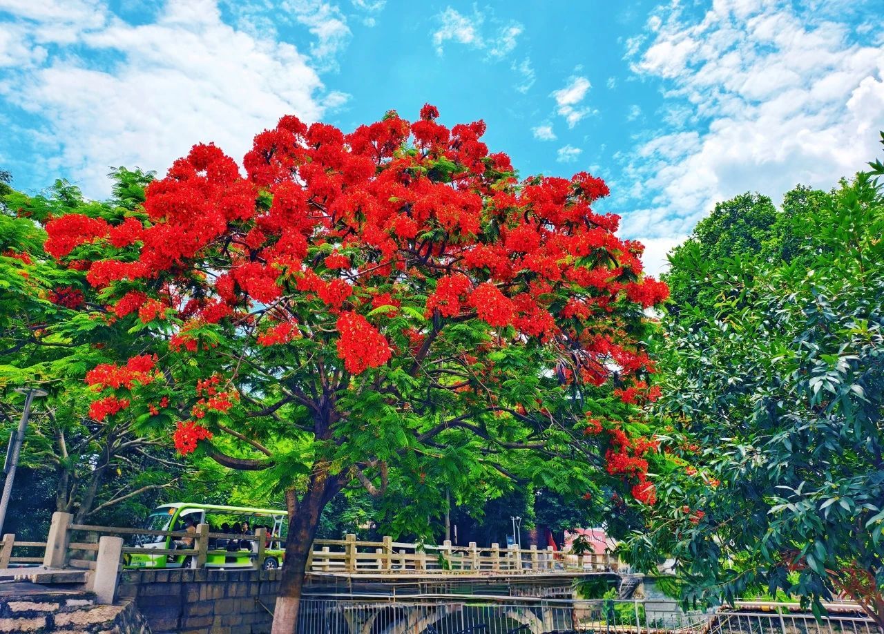 77779193永利集团