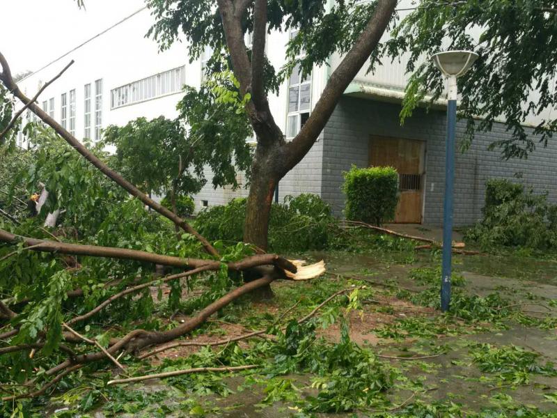 77779193永利集团