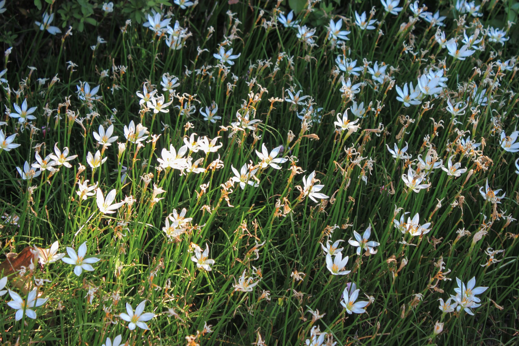 77779193永利集团