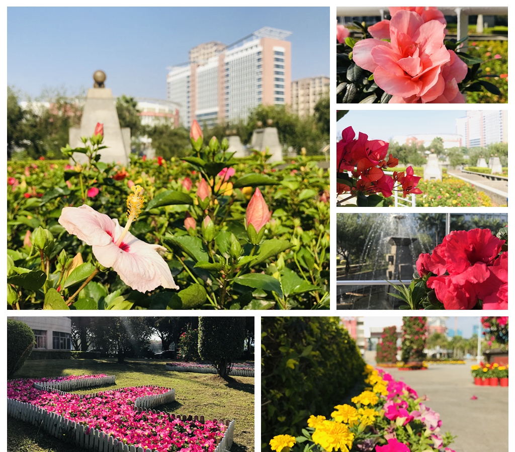 77779193永利集团