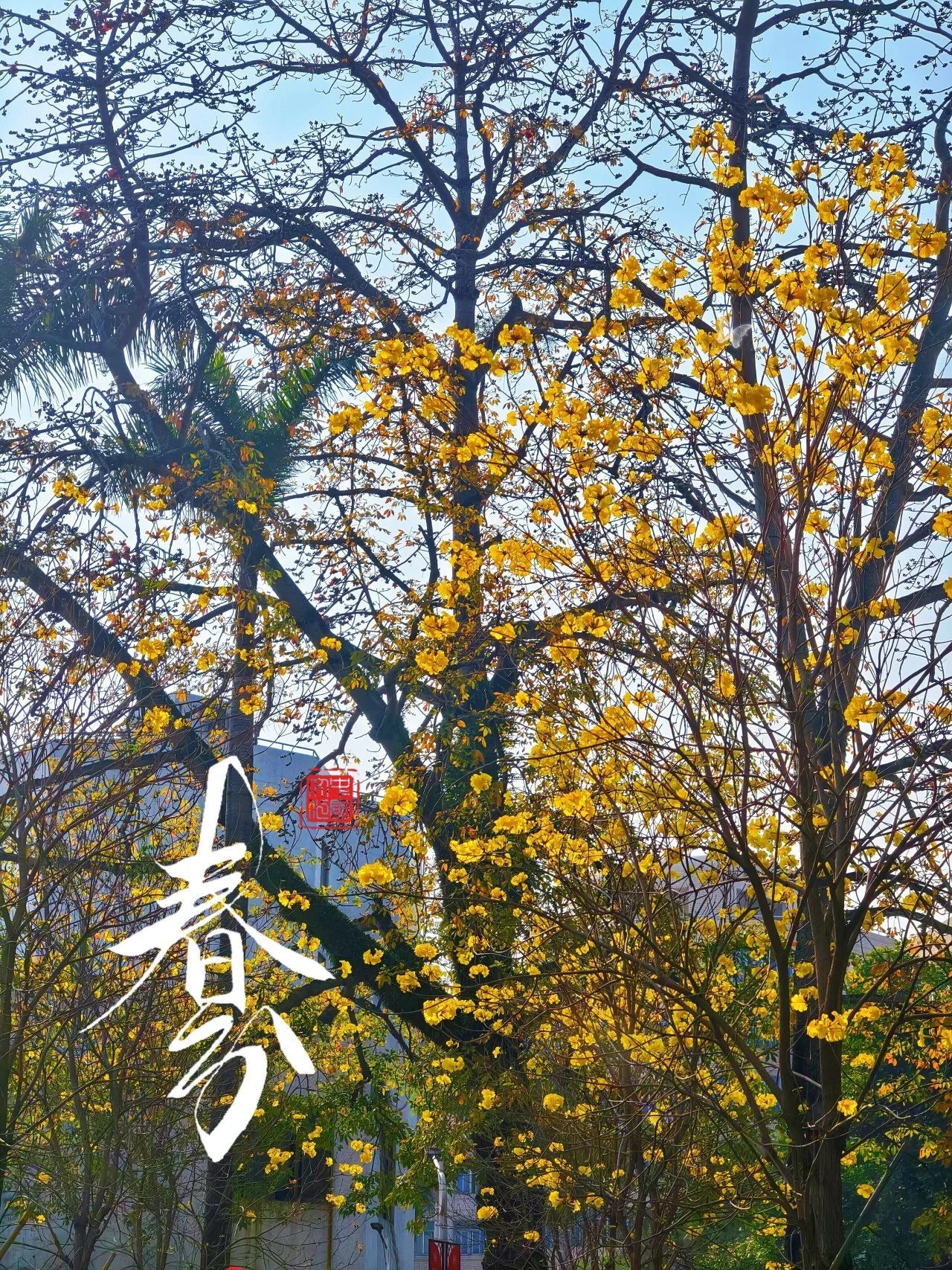 77779193永利集团