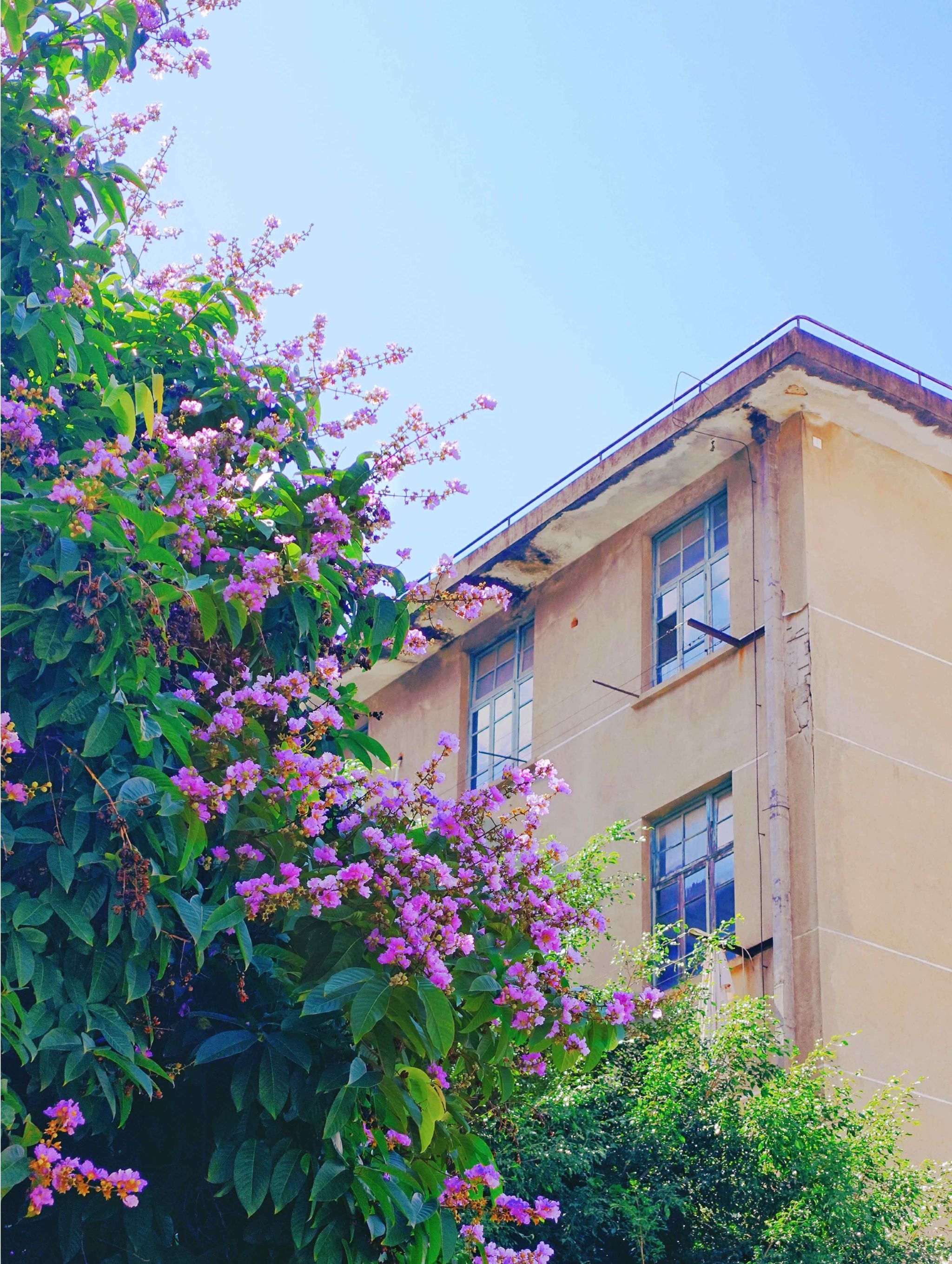 77779193永利集团