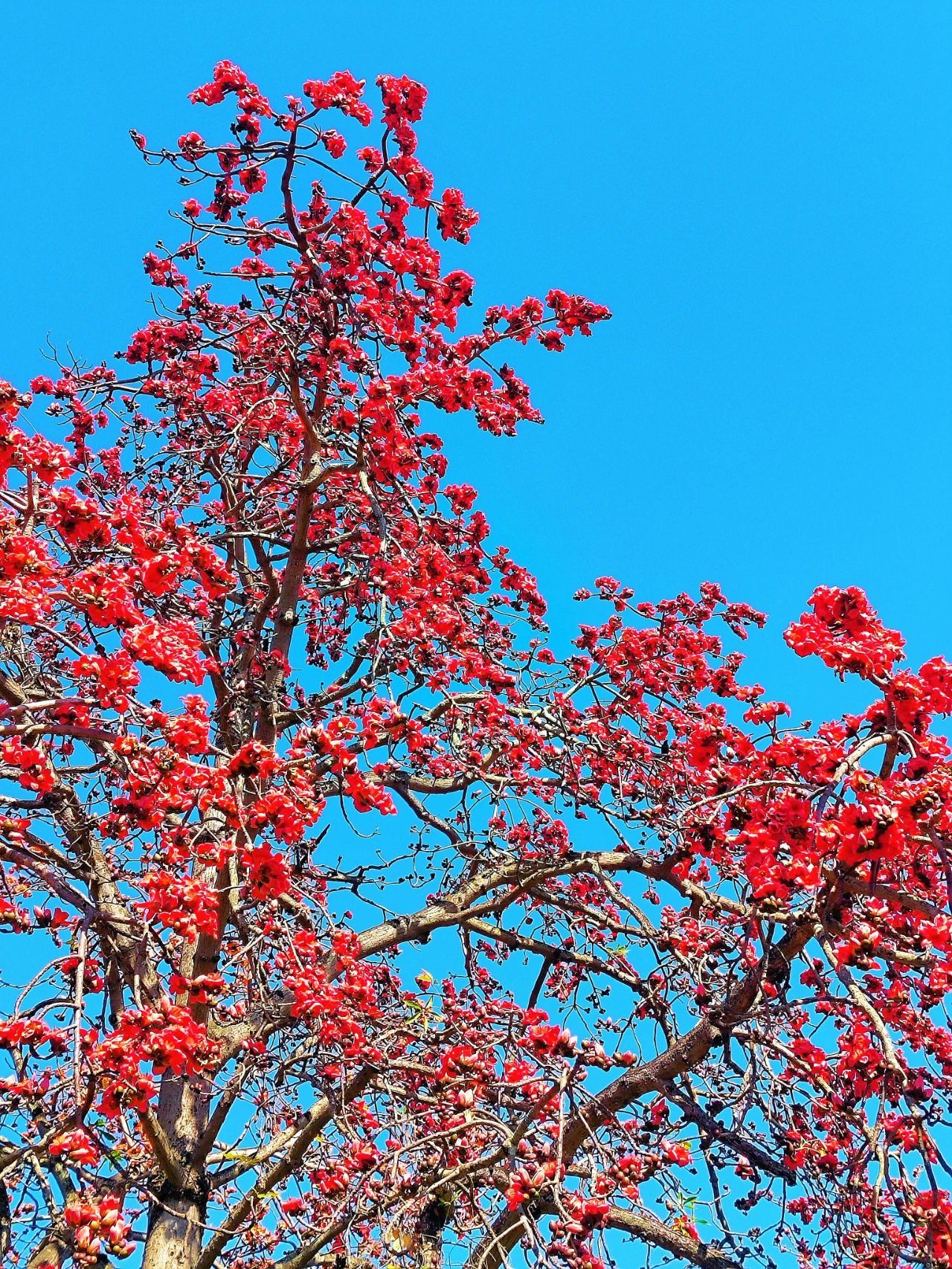 77779193永利集团