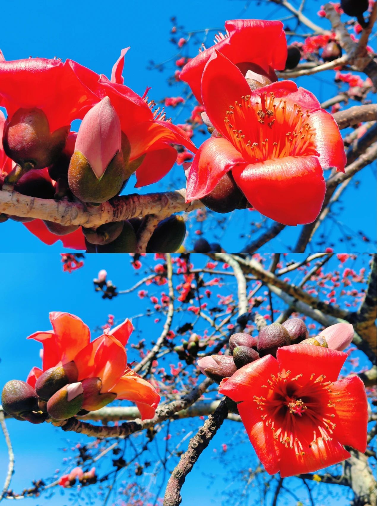 77779193永利集团