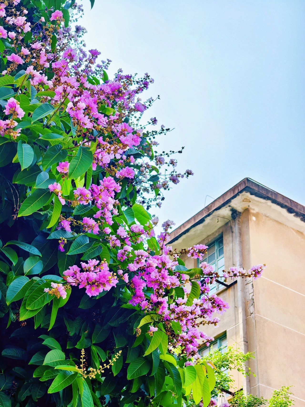 77779193永利集团