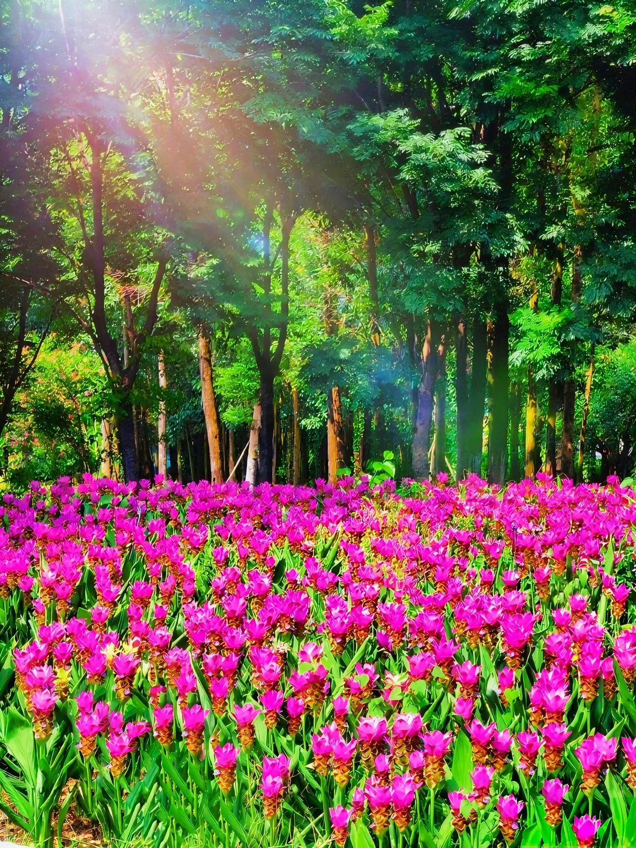 77779193永利集团