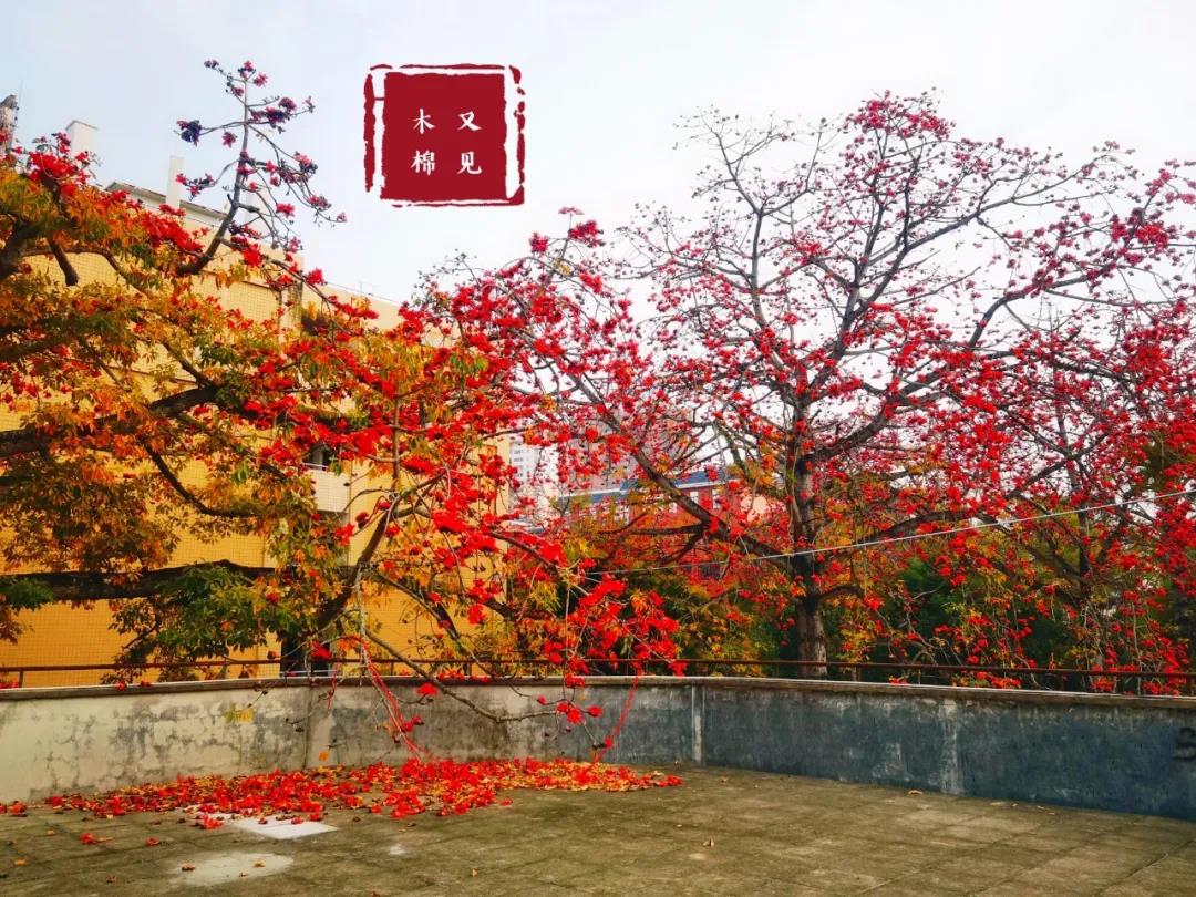 77779193永利集团