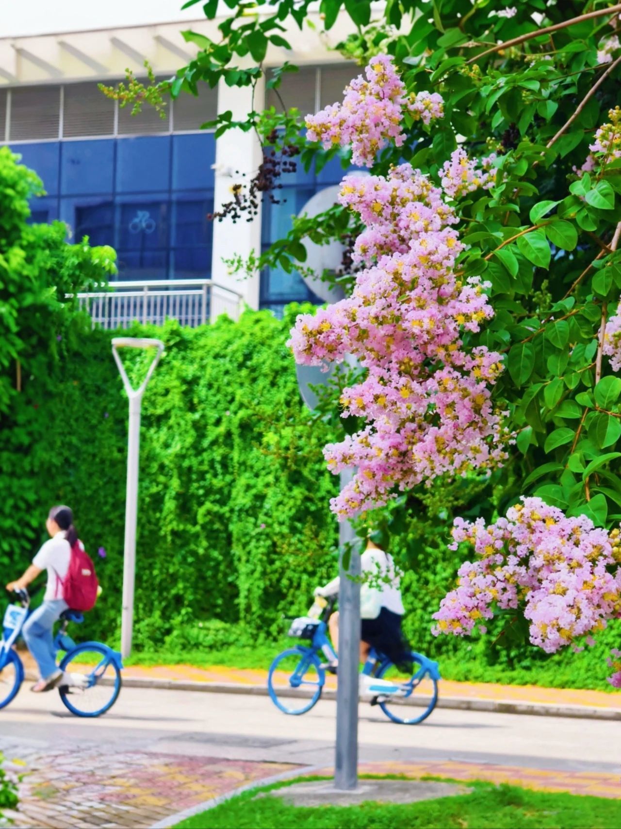 77779193永利集团