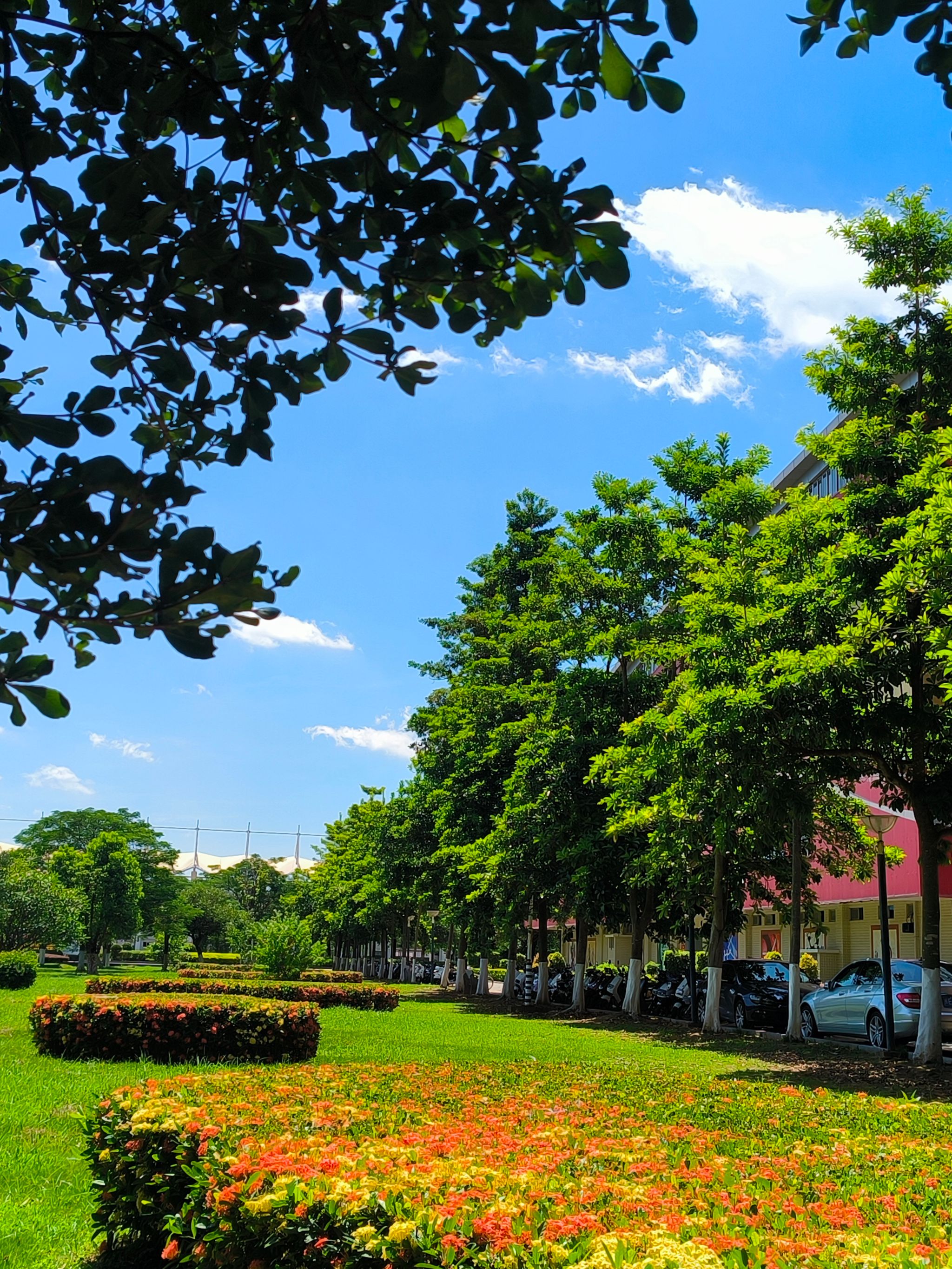 77779193永利集团