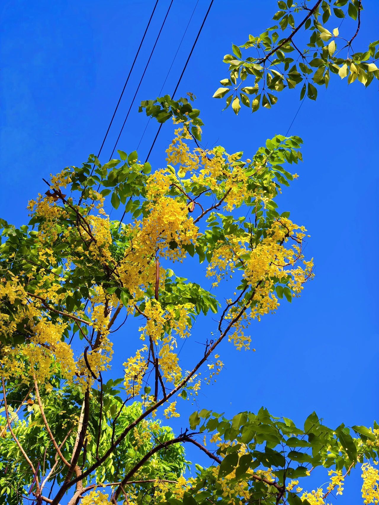 77779193永利集团