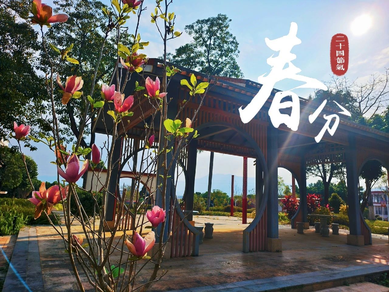 77779193永利集团