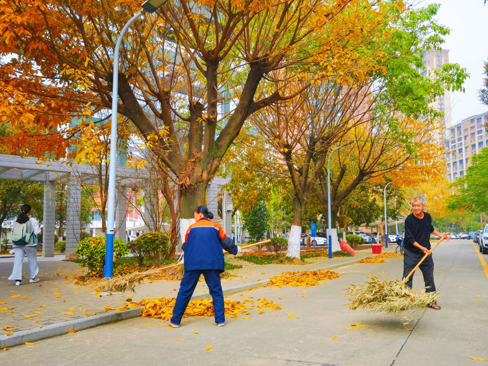 77779193永利集团