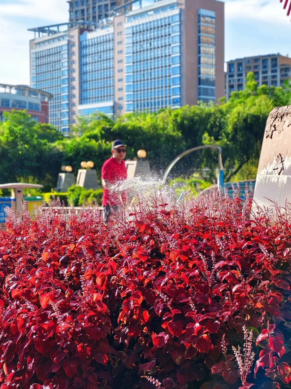 77779193永利集团