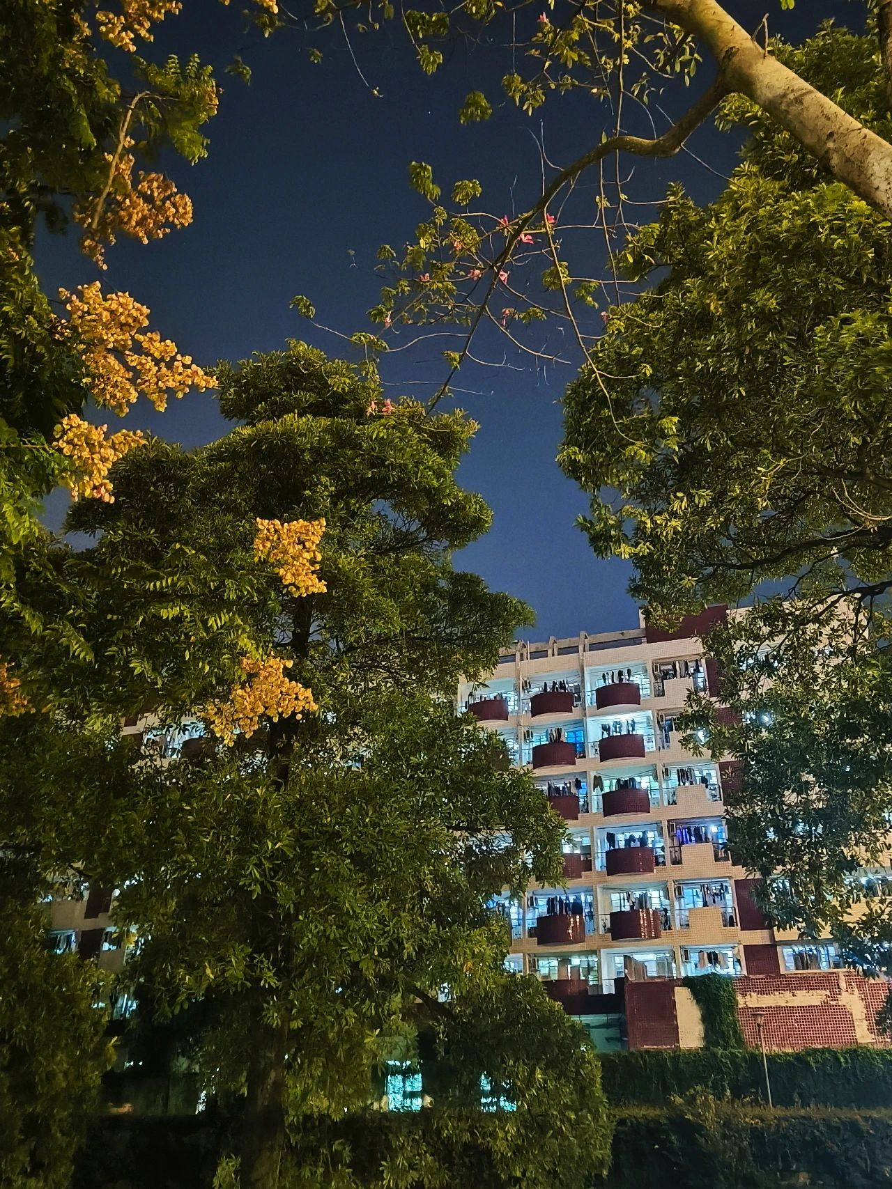 77779193永利集团