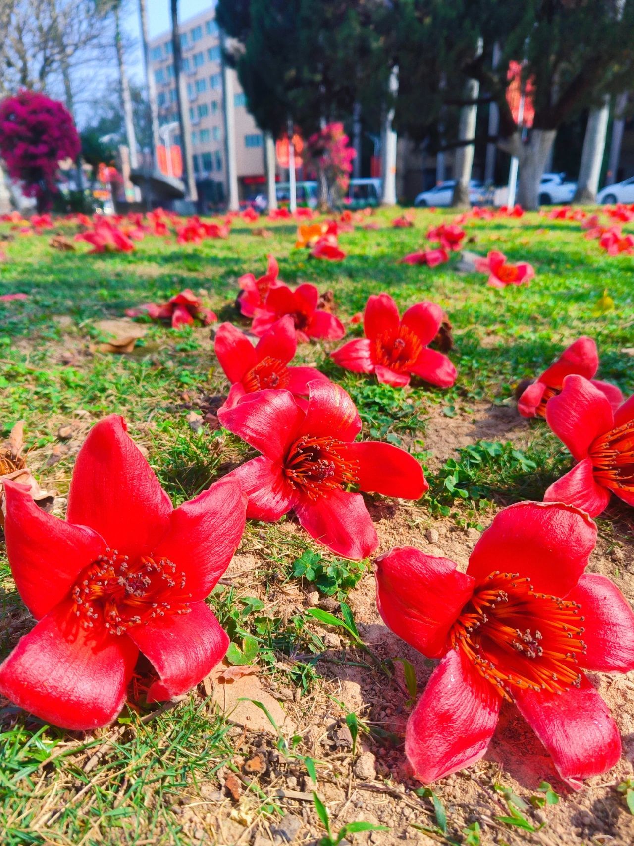 77779193永利集团