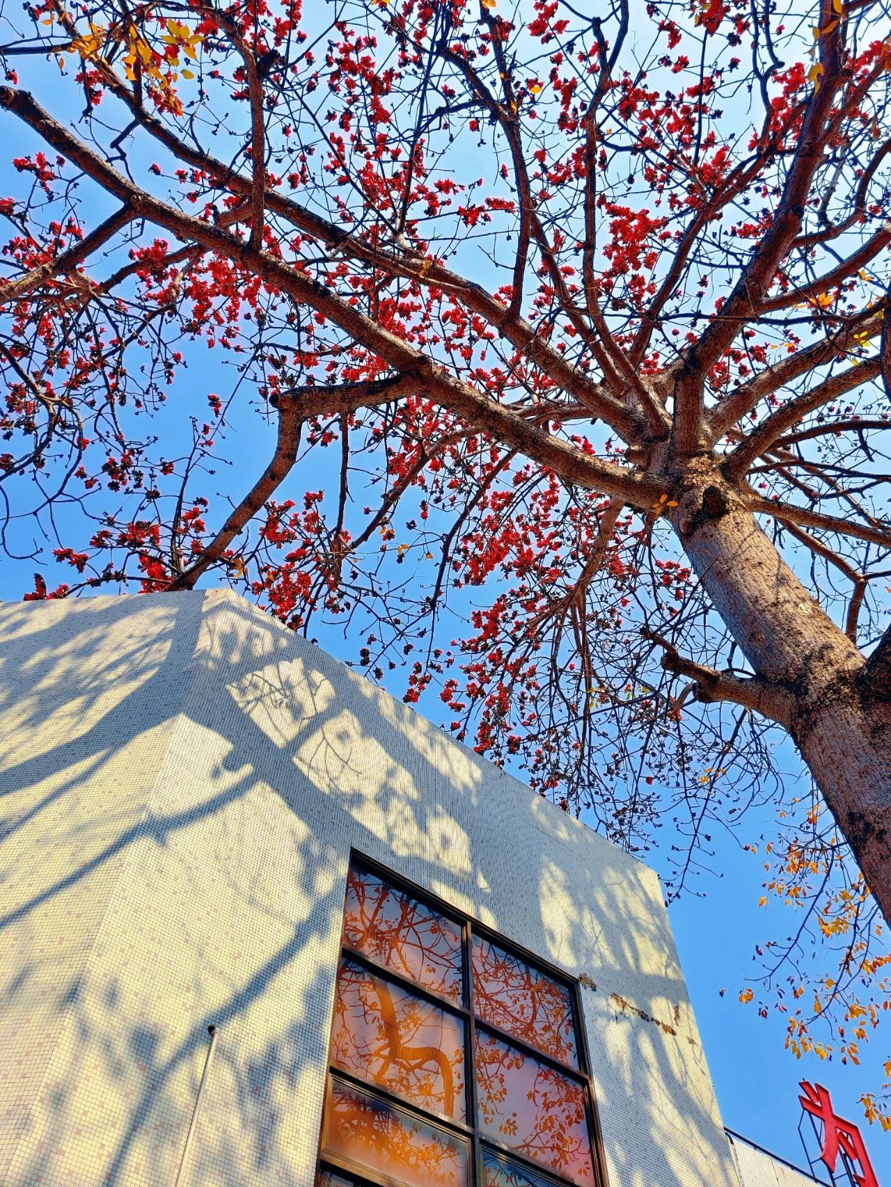 77779193永利集团