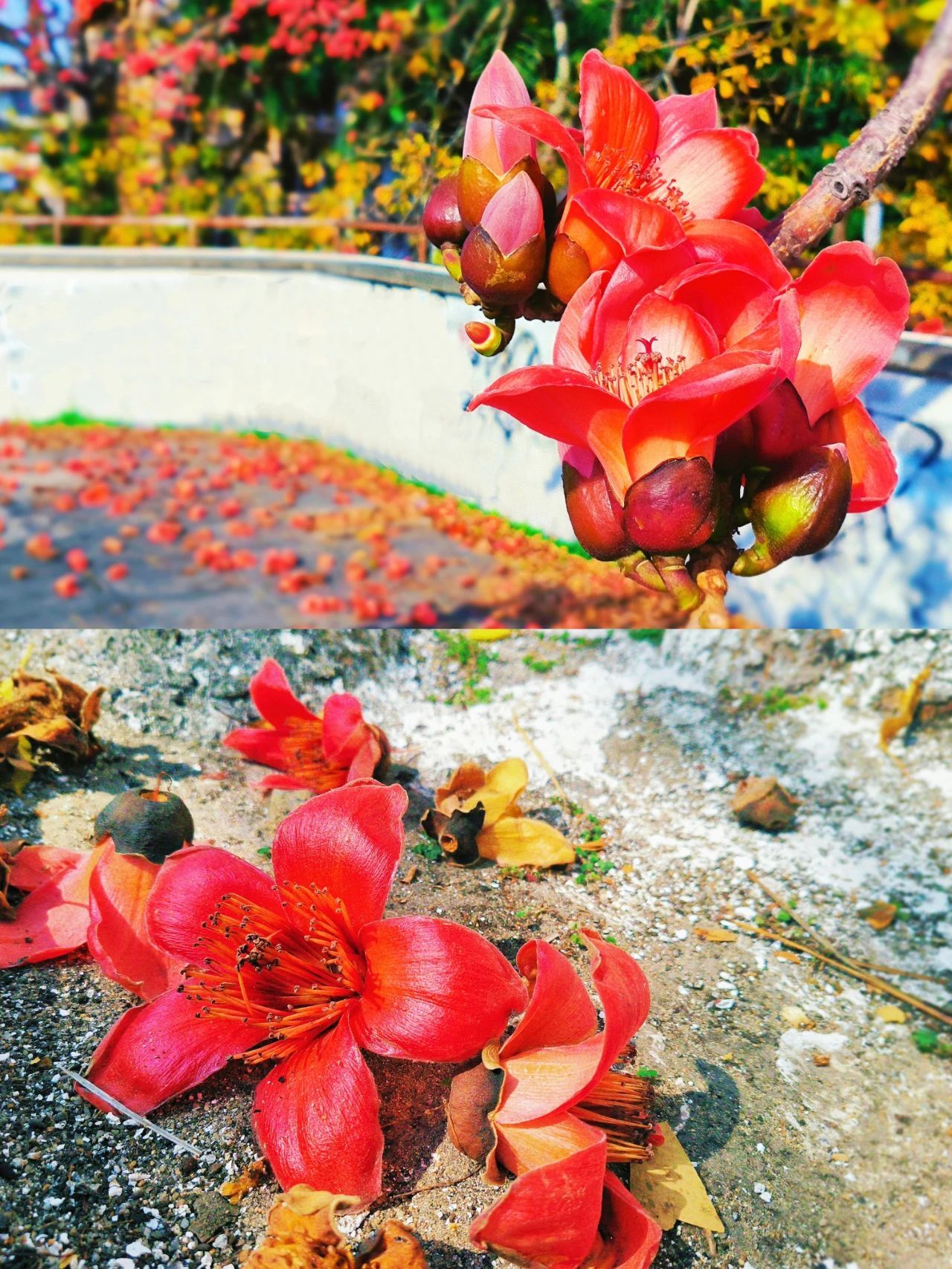 77779193永利集团