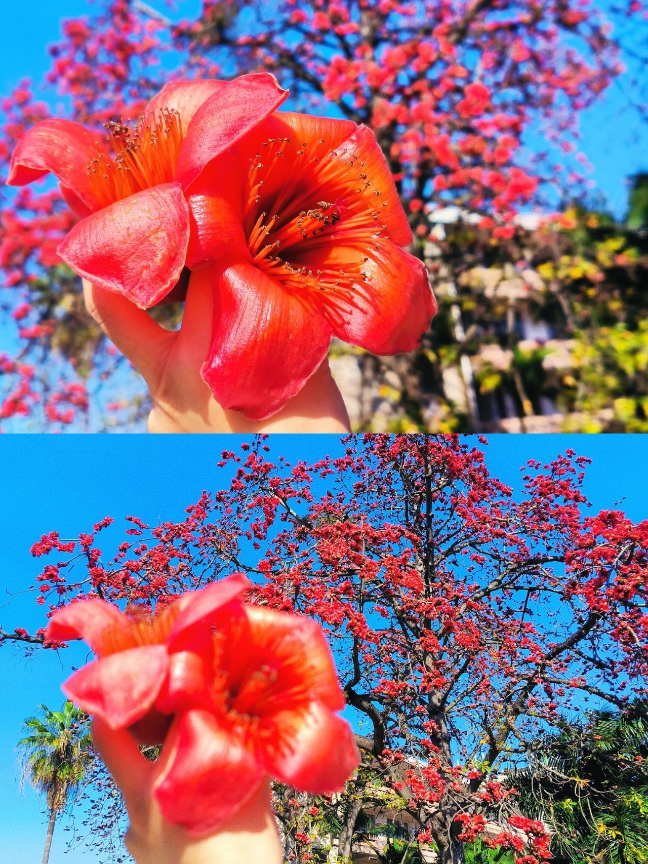 77779193永利集团