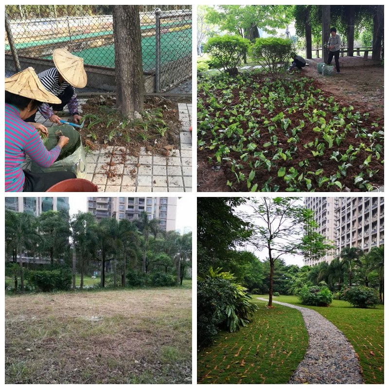 77779193永利集团