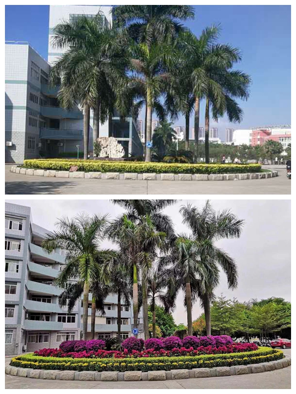 77779193永利集团