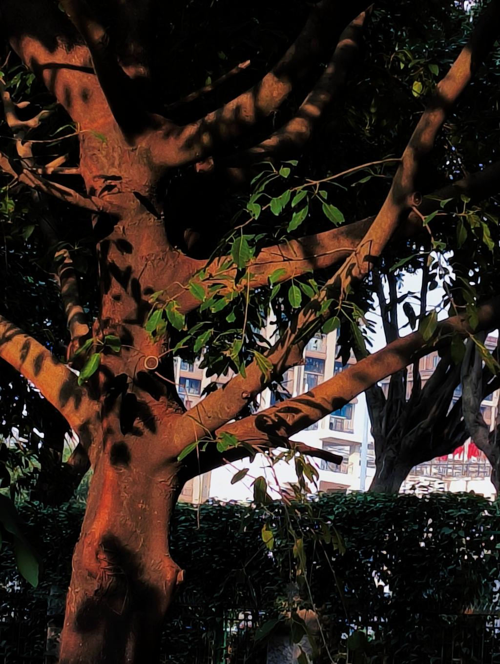 77779193永利集团