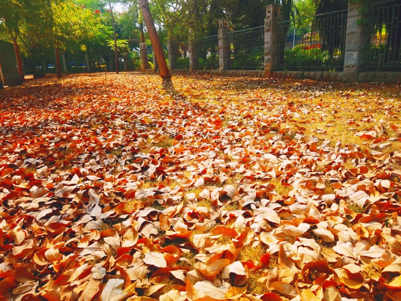 77779193永利集团