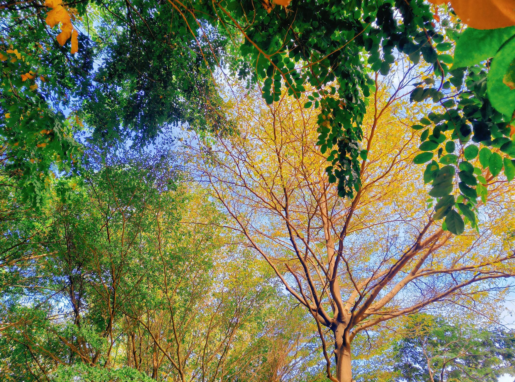 77779193永利集团