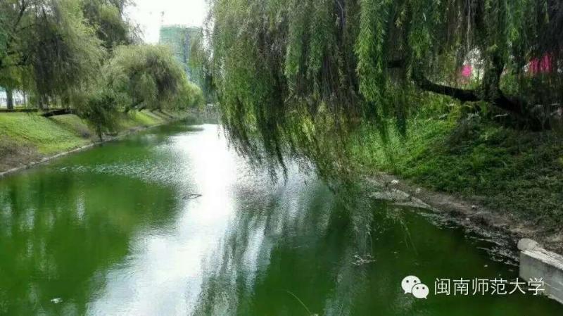 全国绿化模范城市核查专家组莅临我校实地检查3.jpg 77779193永利集团