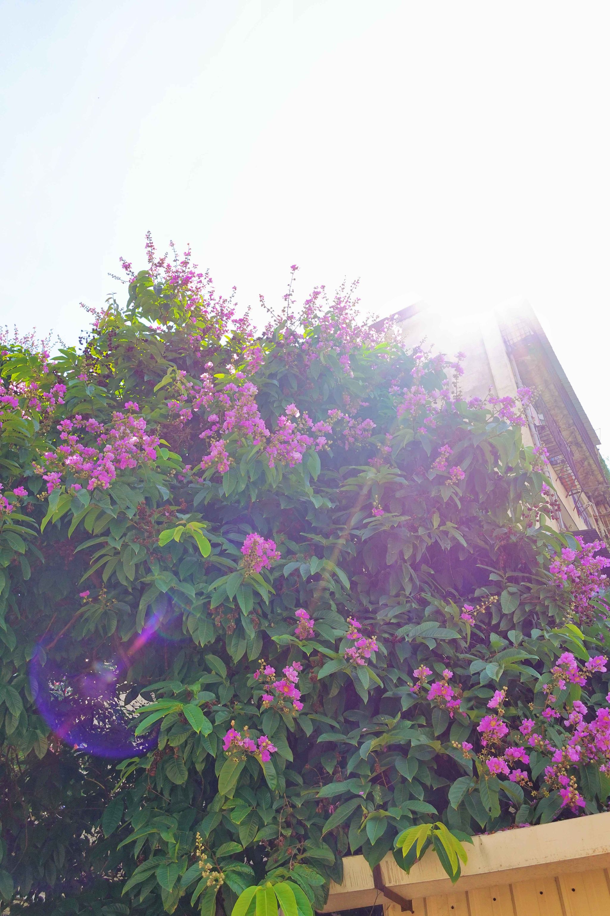 77779193永利集团