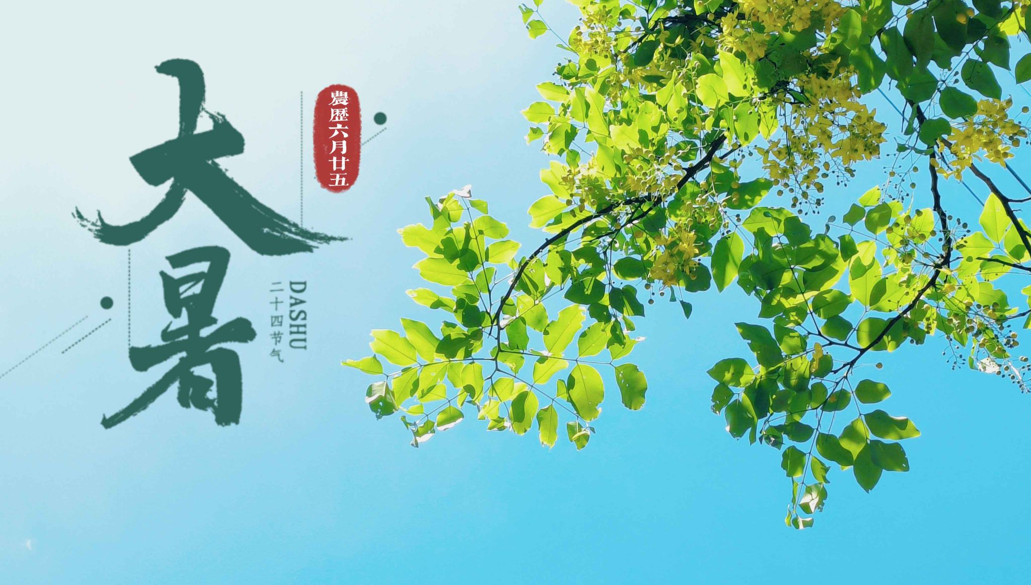 77779193永利集团