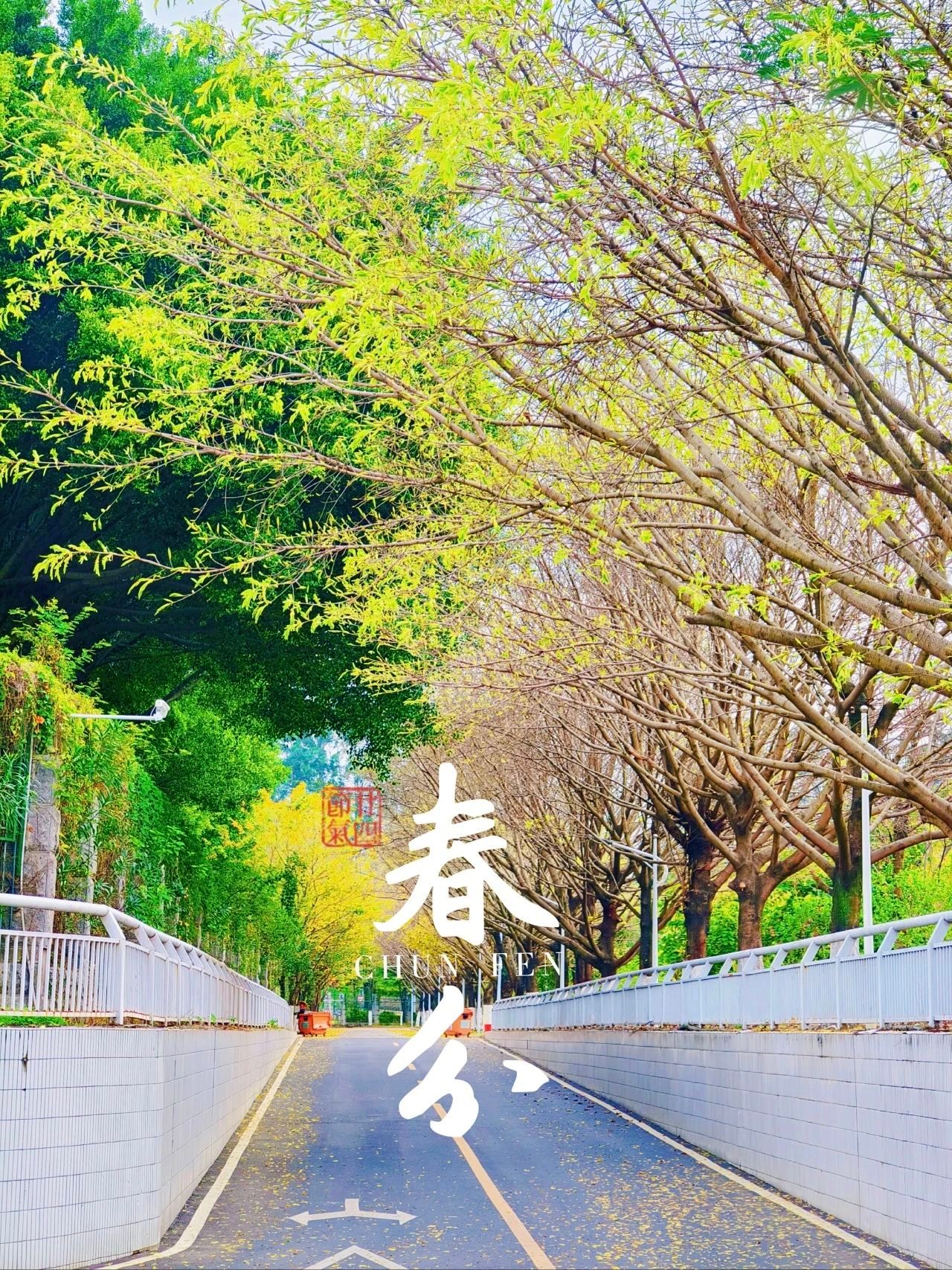 77779193永利集团