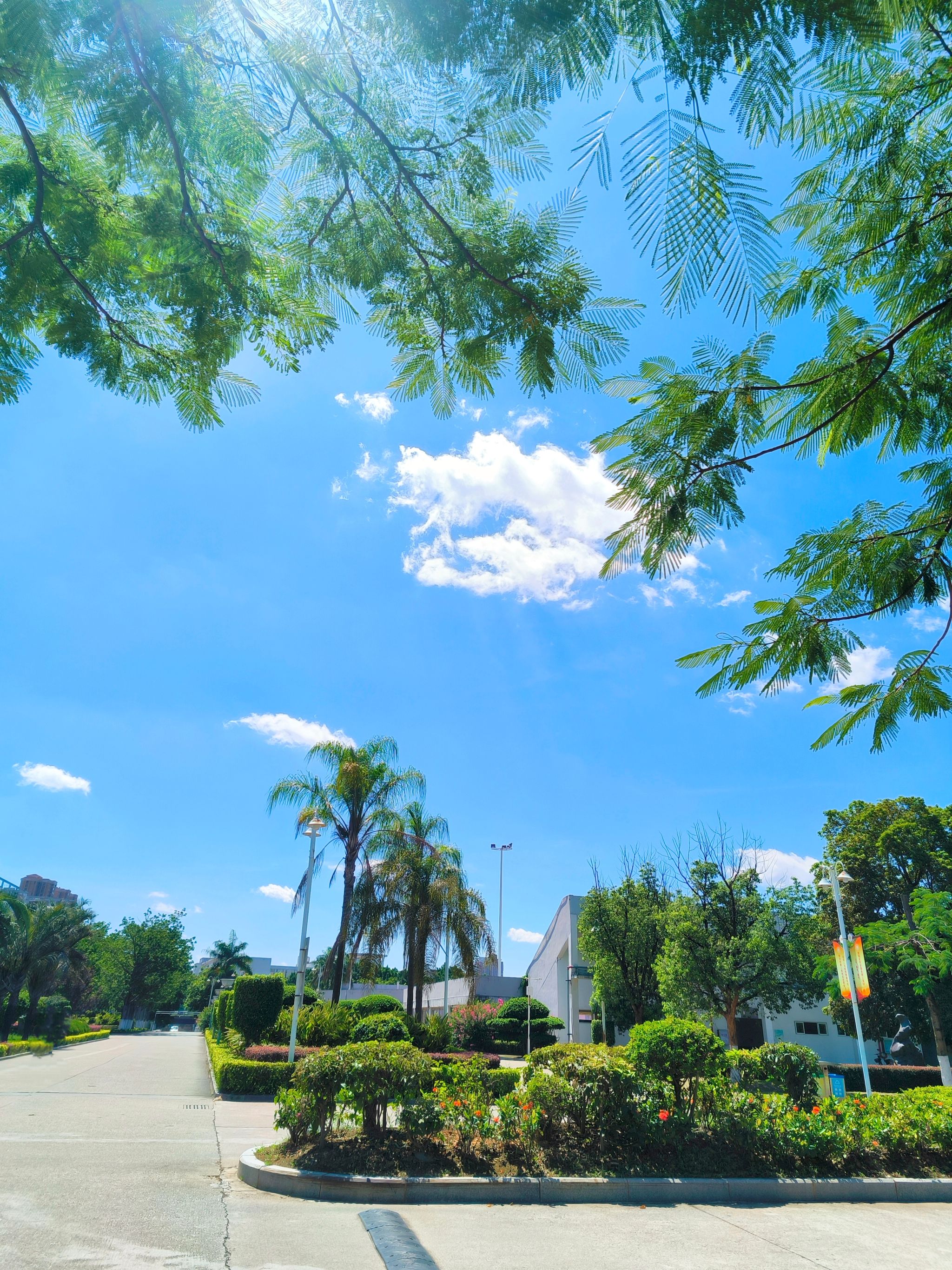 77779193永利集团