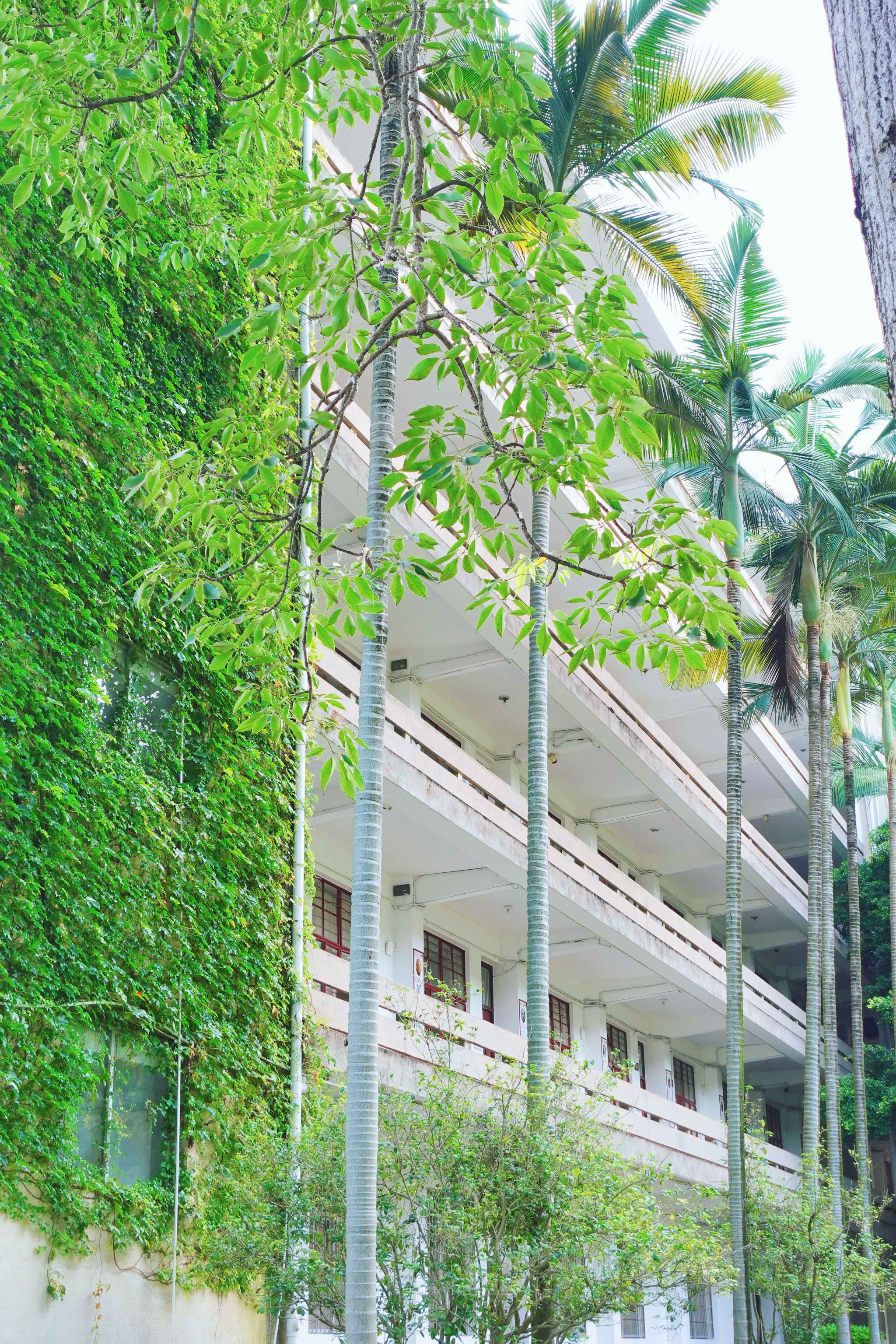 77779193永利集团