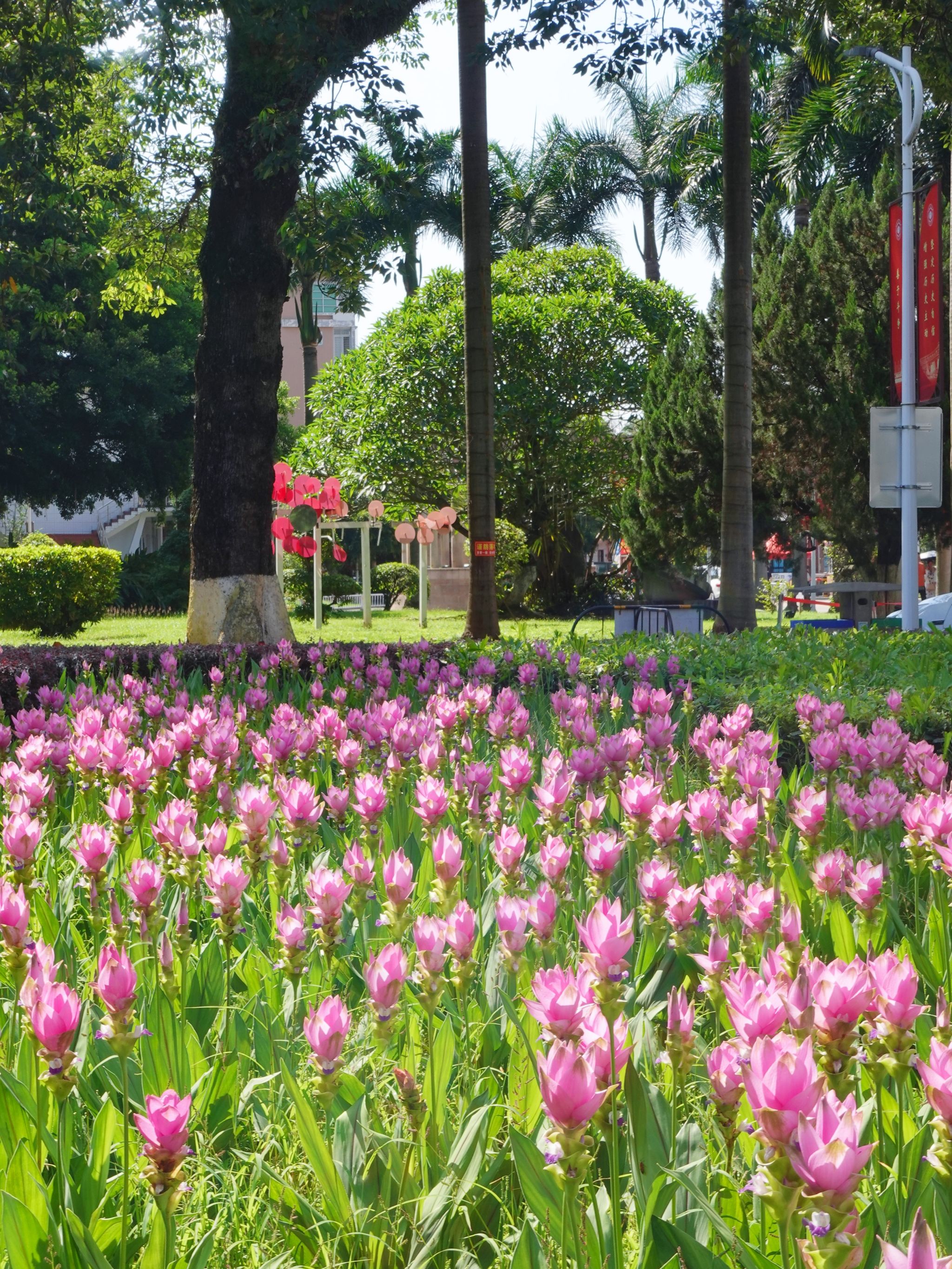 77779193永利集团