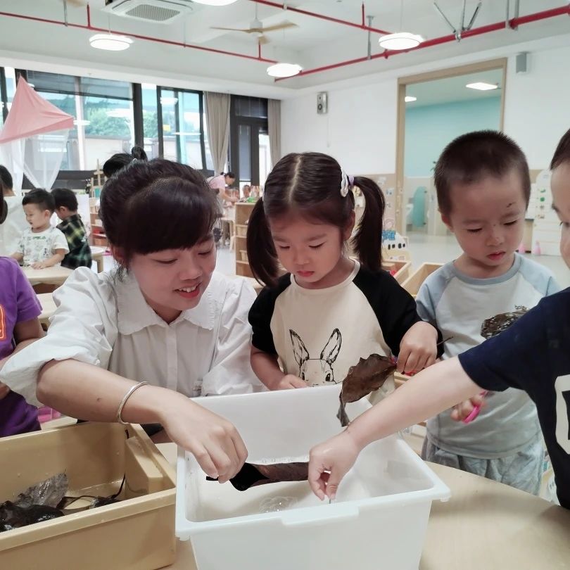 77779193永利集团