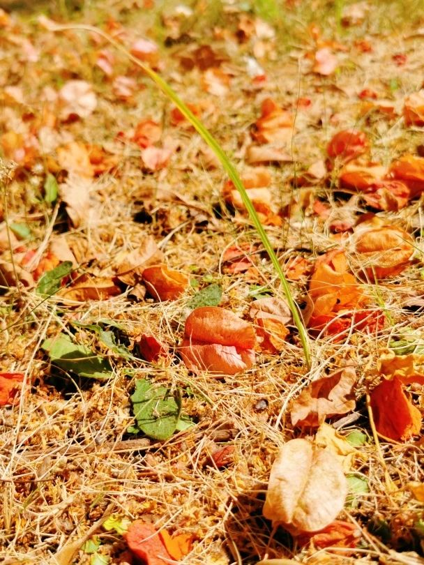 77779193永利集团