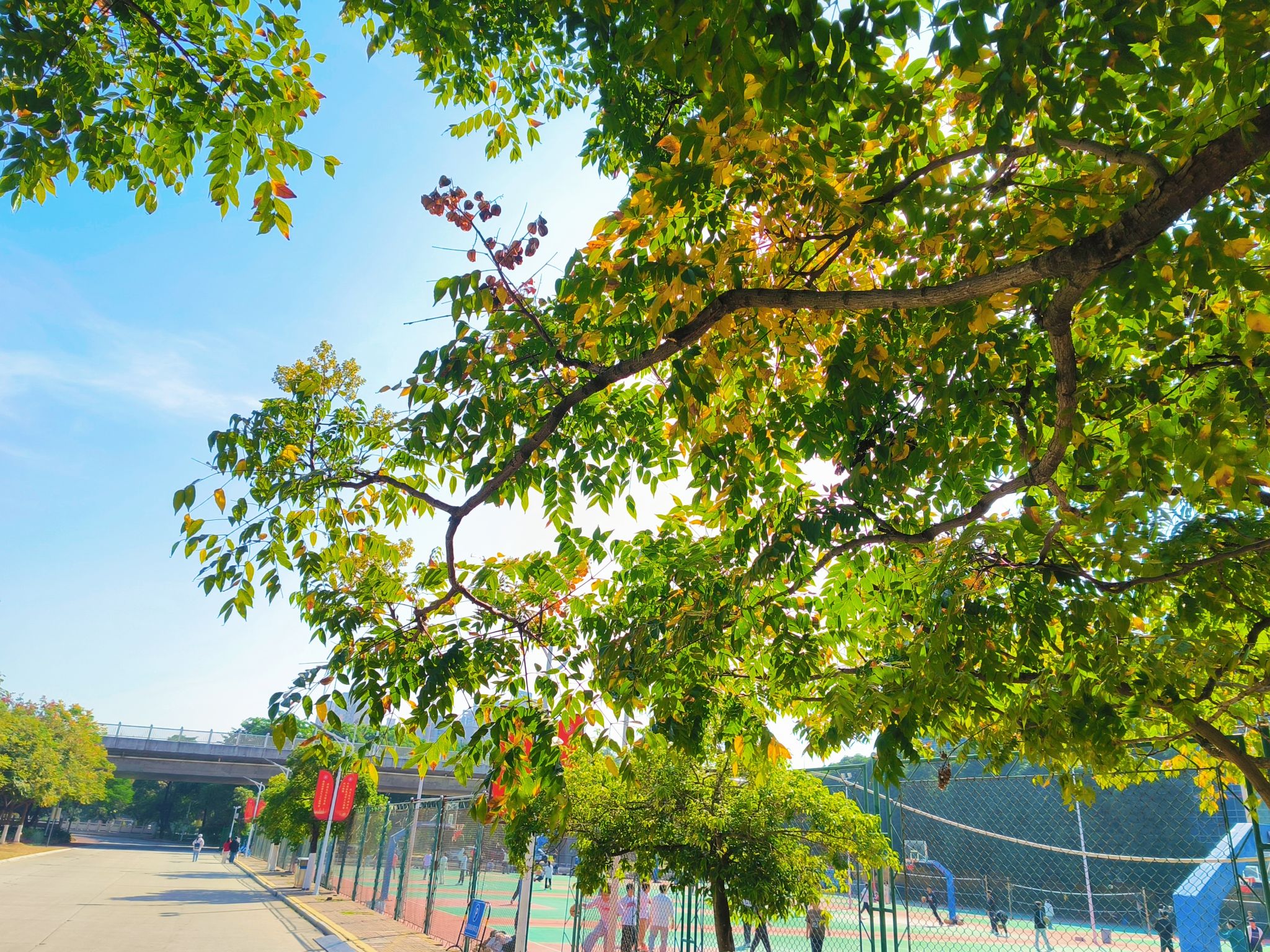 77779193永利集团