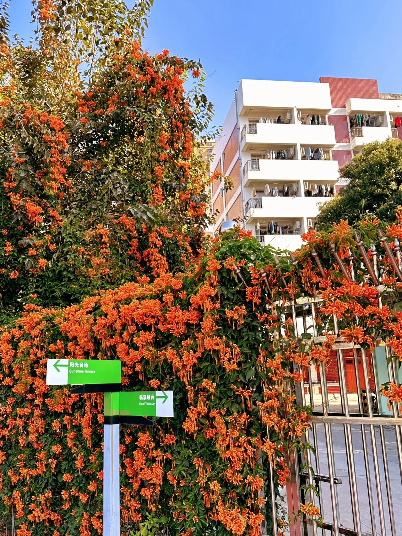 77779193永利集团