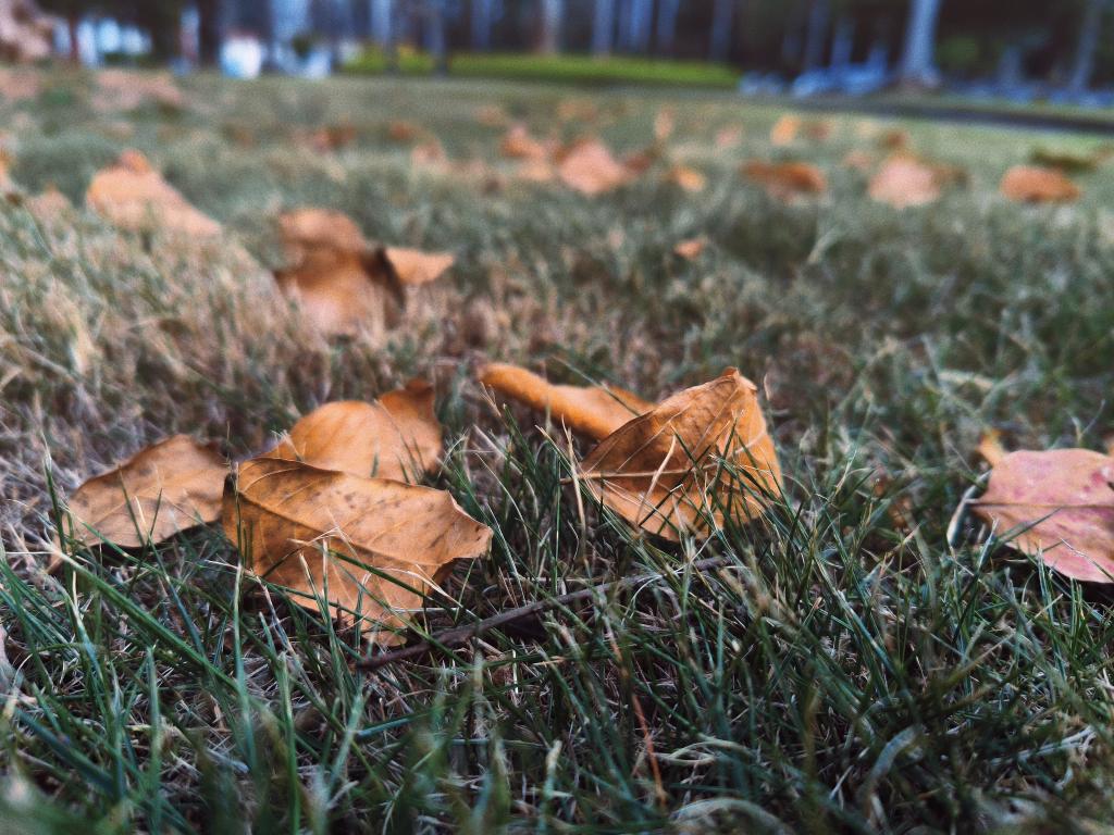 77779193永利集团