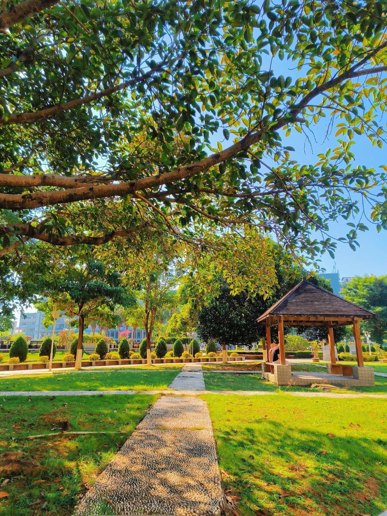 77779193永利集团