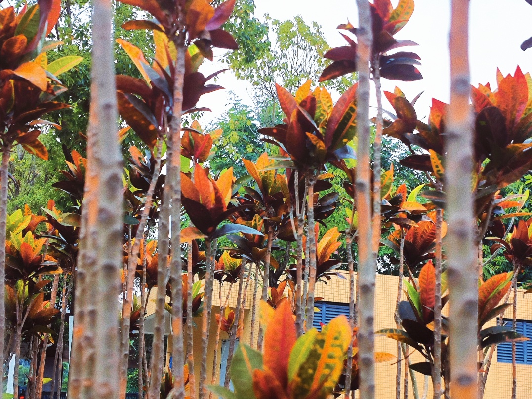 77779193永利集团