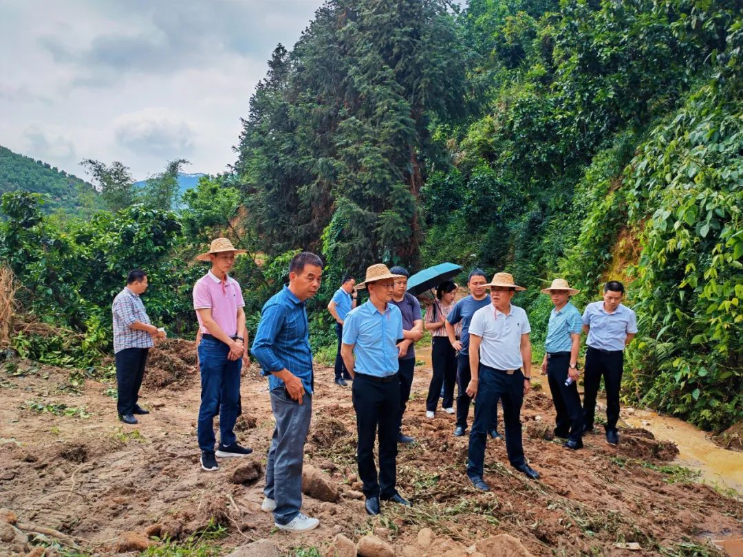 77779193永利集团