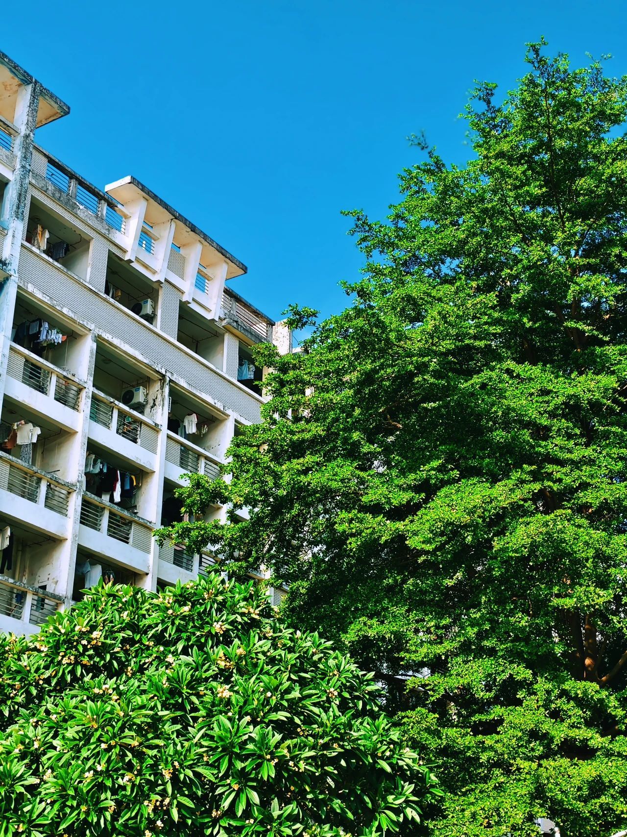 77779193永利集团