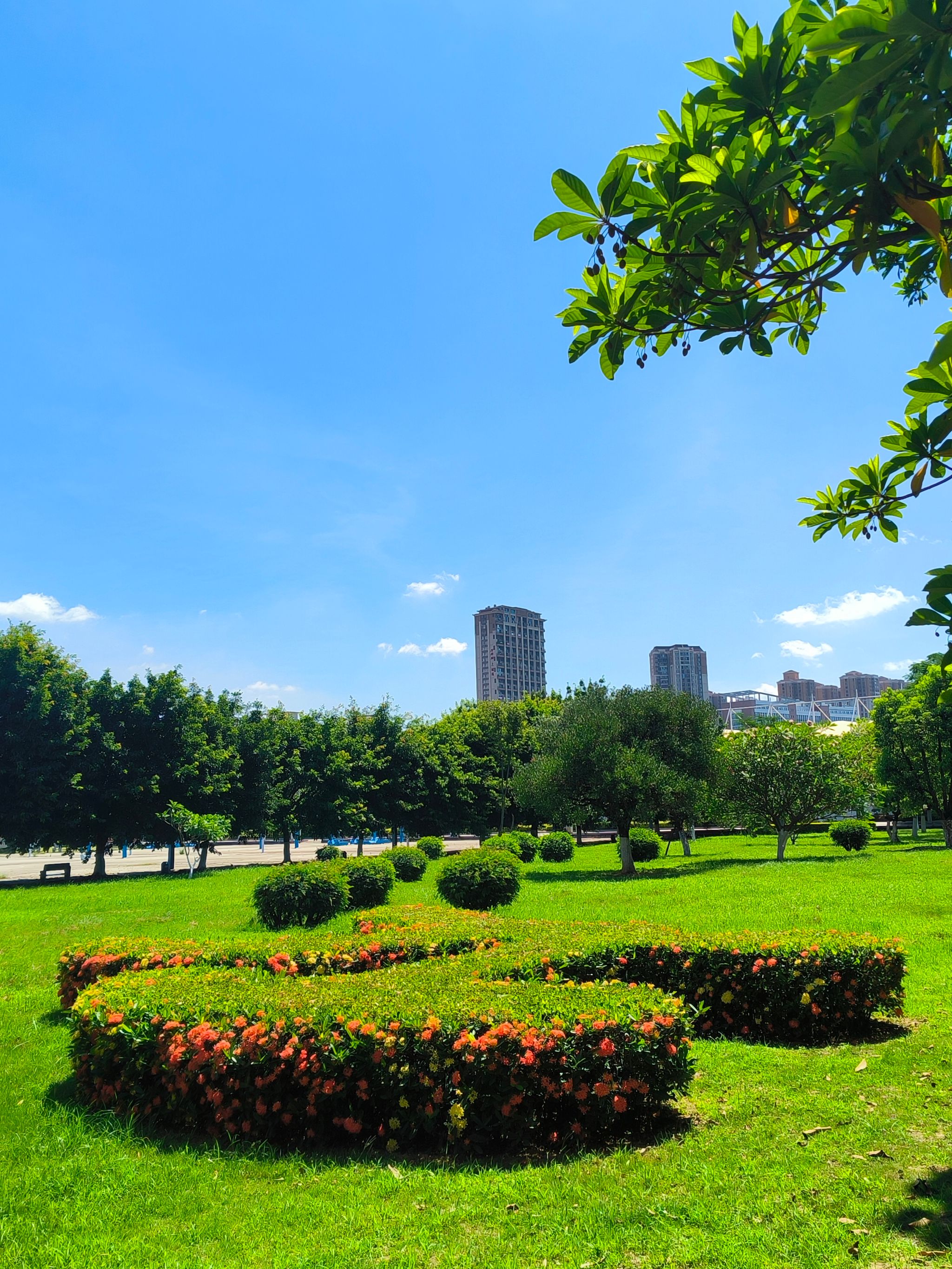 77779193永利集团