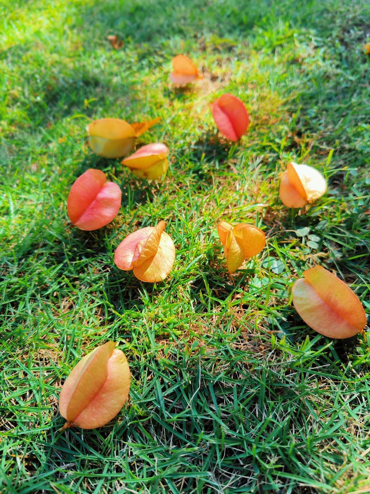 77779193永利集团