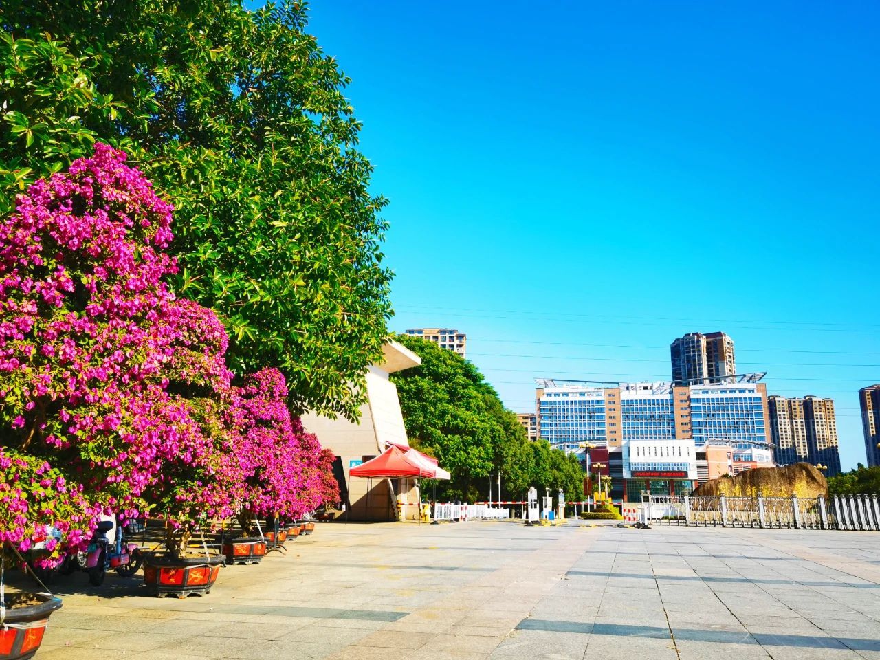 77779193永利集团