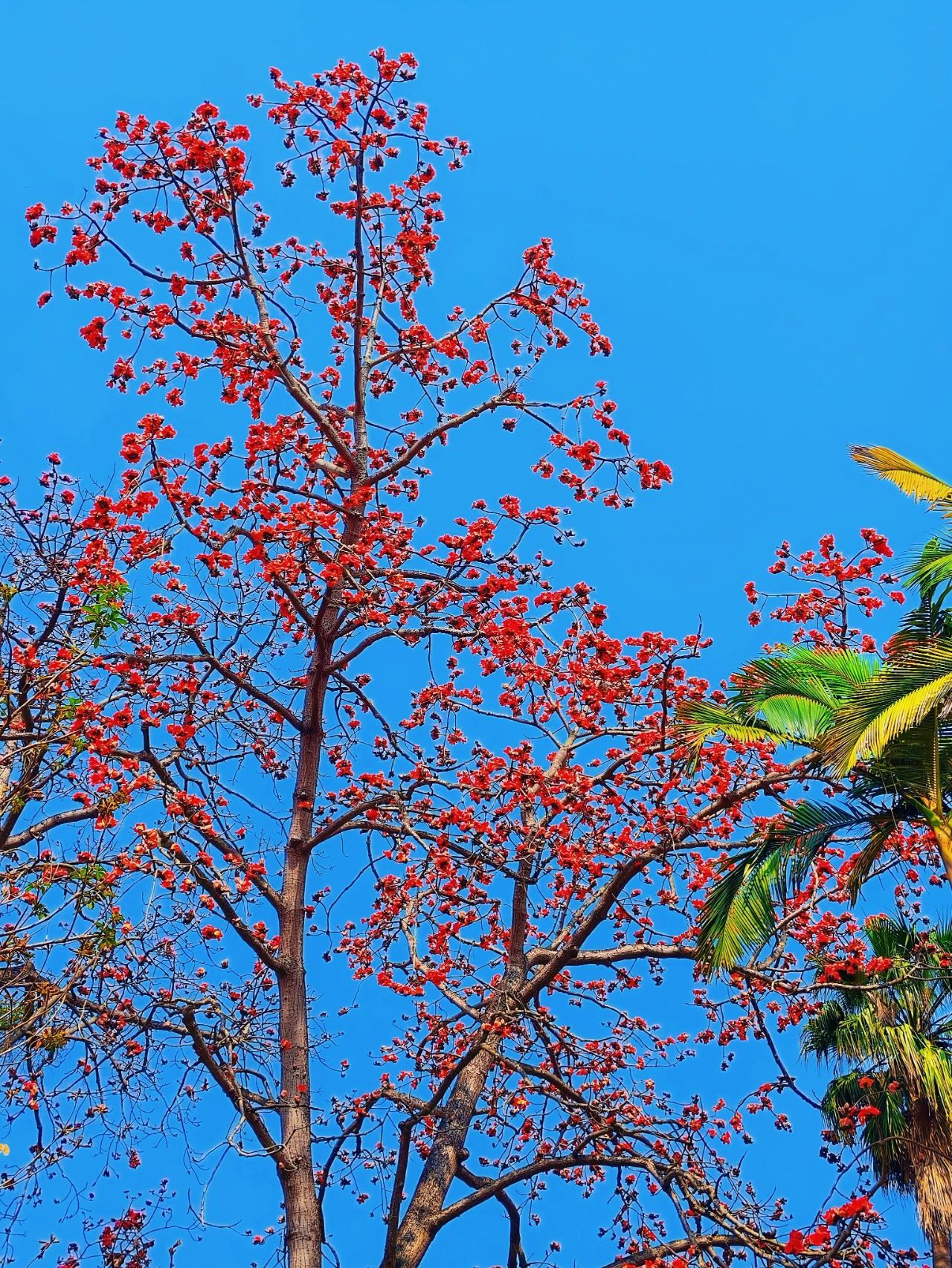 77779193永利集团